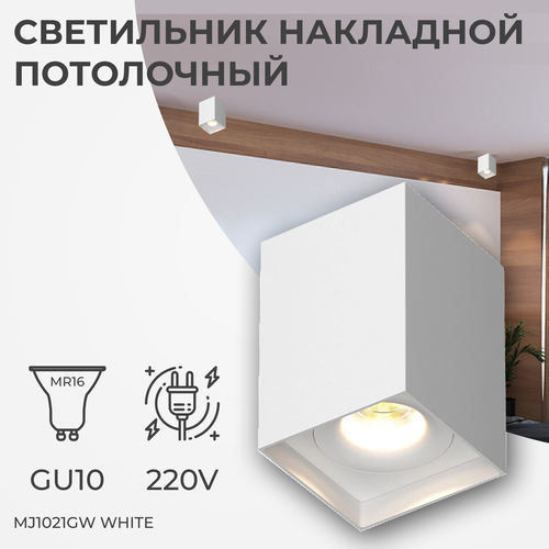 Накладной светильник/спот под сменную лампу Ledron MJ1021GW White