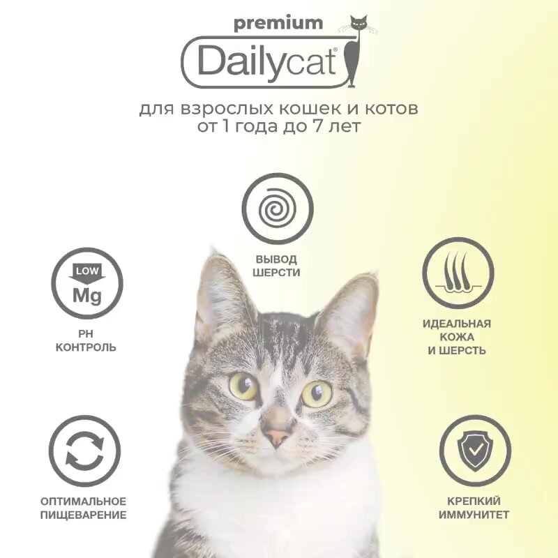 Корм сухой Dailyсat для взрослых кошек, с индейкой, 1,5 кг — фото 1
