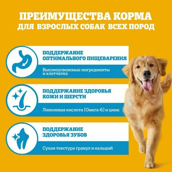 Pedigree корм для взрослых собак всех пород, с говядиной 2 кг — фото 1