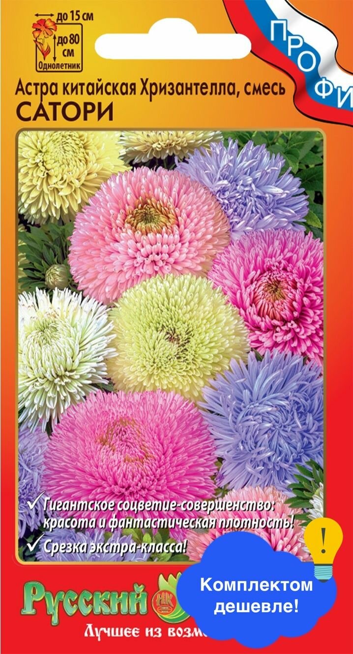 Цветы Астра китайская Хризантелла Сатори