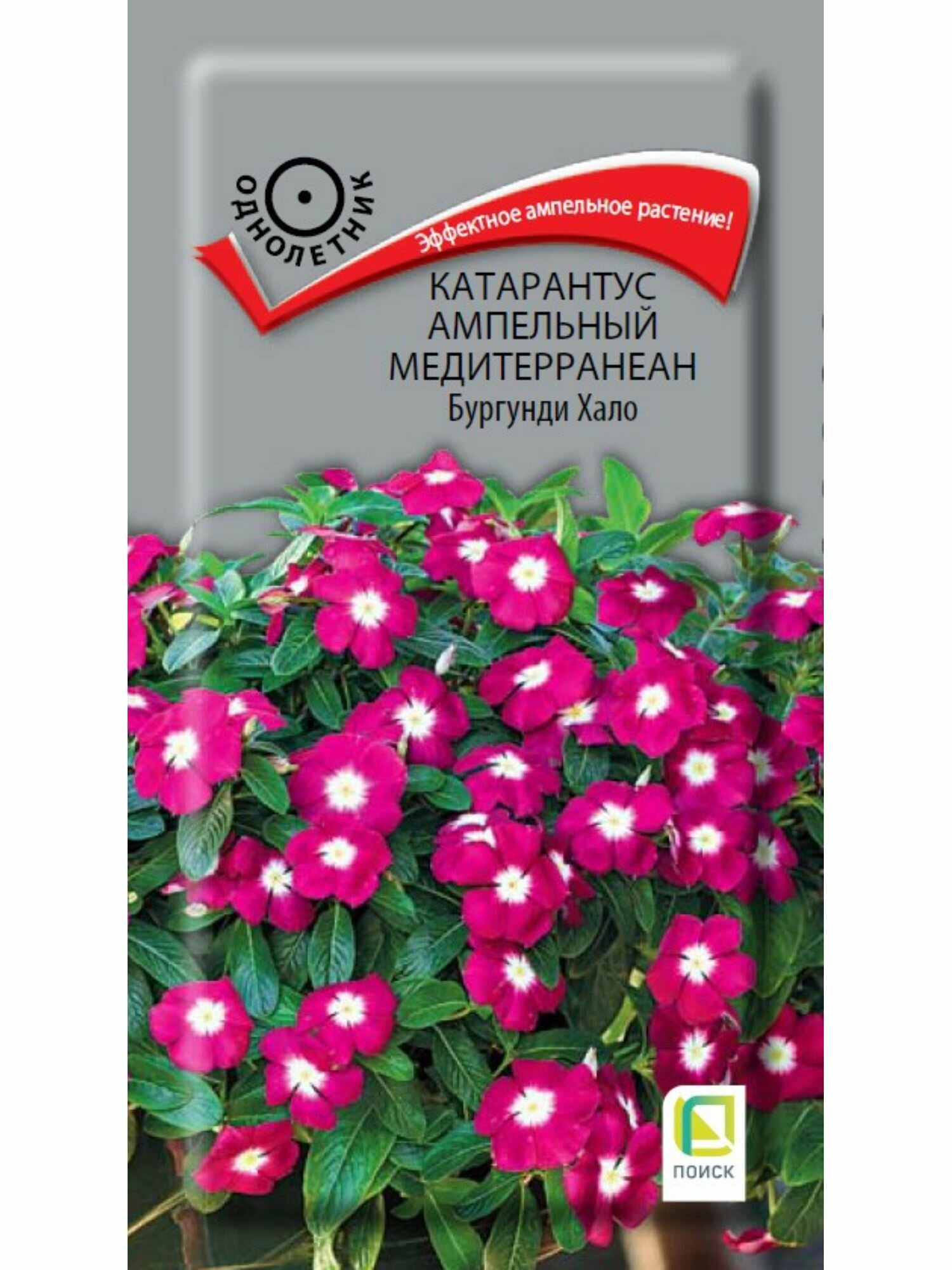Семена цветов катарантус ампельный Медитерранеан Бургунди Хало