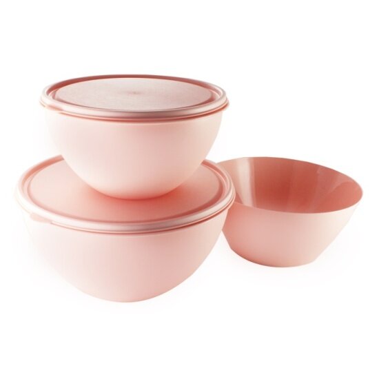 Набор мисок Ангора с цветными крышками 2 л/4 л с салатником 25 л чайная роза (А8621цв. кр. чайнрз)