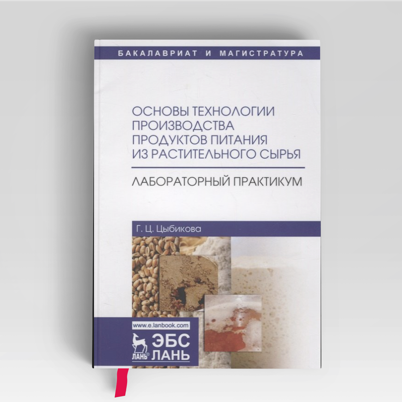 Основы технологии производства продуктов питания из растительного сырья. Лабораторный практикум. Учебное пособие |