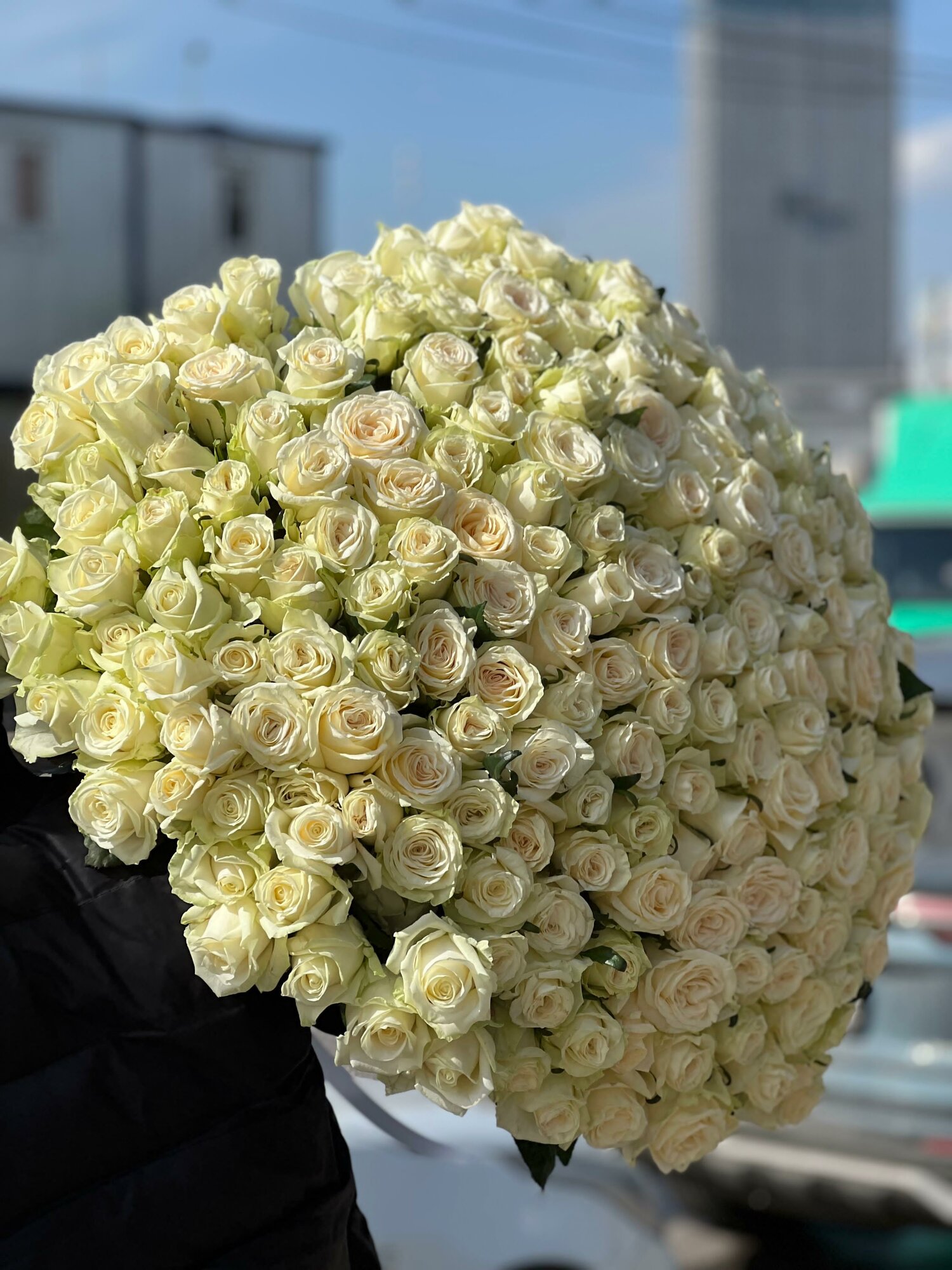 201 белая Роза букет M Flowers