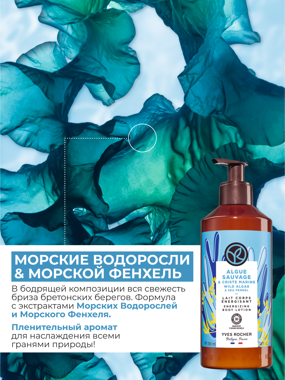 Картинки Молочко для тела увлажняющее Морские водоросли и фенхель