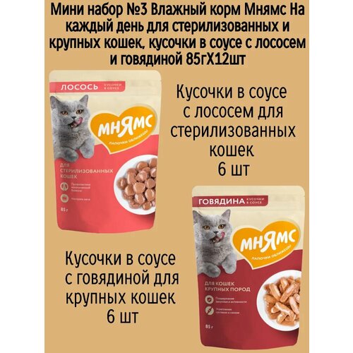 Мини набор №3 Влажный корм Мнямс для стерилизованных кошек, кусочки в соусе с лососем и говядиной, 12 шт х 85 гр