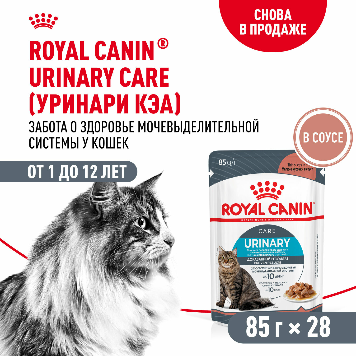 Влажный корм Royal Canin Urinary Care пауч для профилактики МКБ у кошек (кусочки в соусе) Птица, 85 г х 28 шт.