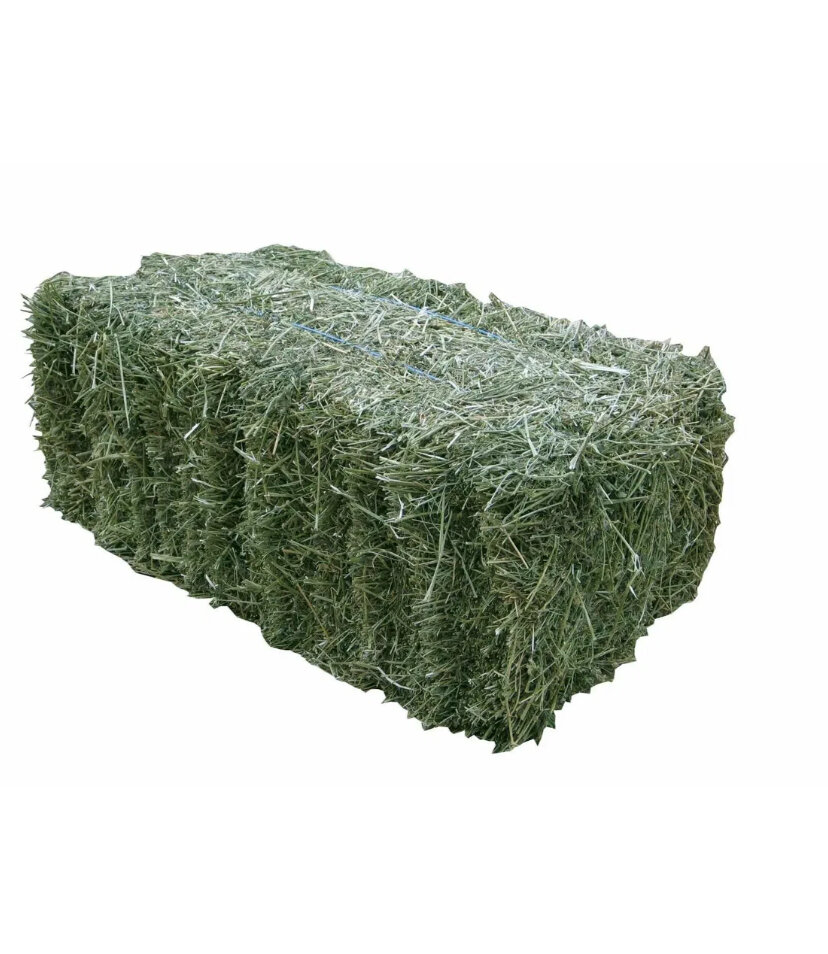 Сено луговое  для грызунов птиц коров кроликов лошадей рептилий и хорьков 230 литров 25 кг +-