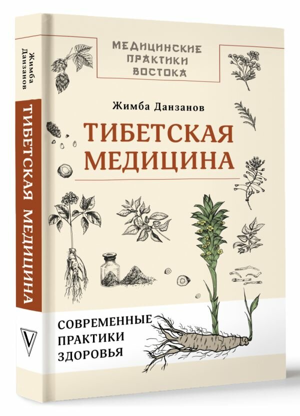 Тибетская медицина: современные практики здоровья Данзанов Ж.