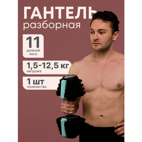 Гантель Разборная MAXISCOO FIT, 12,5кг