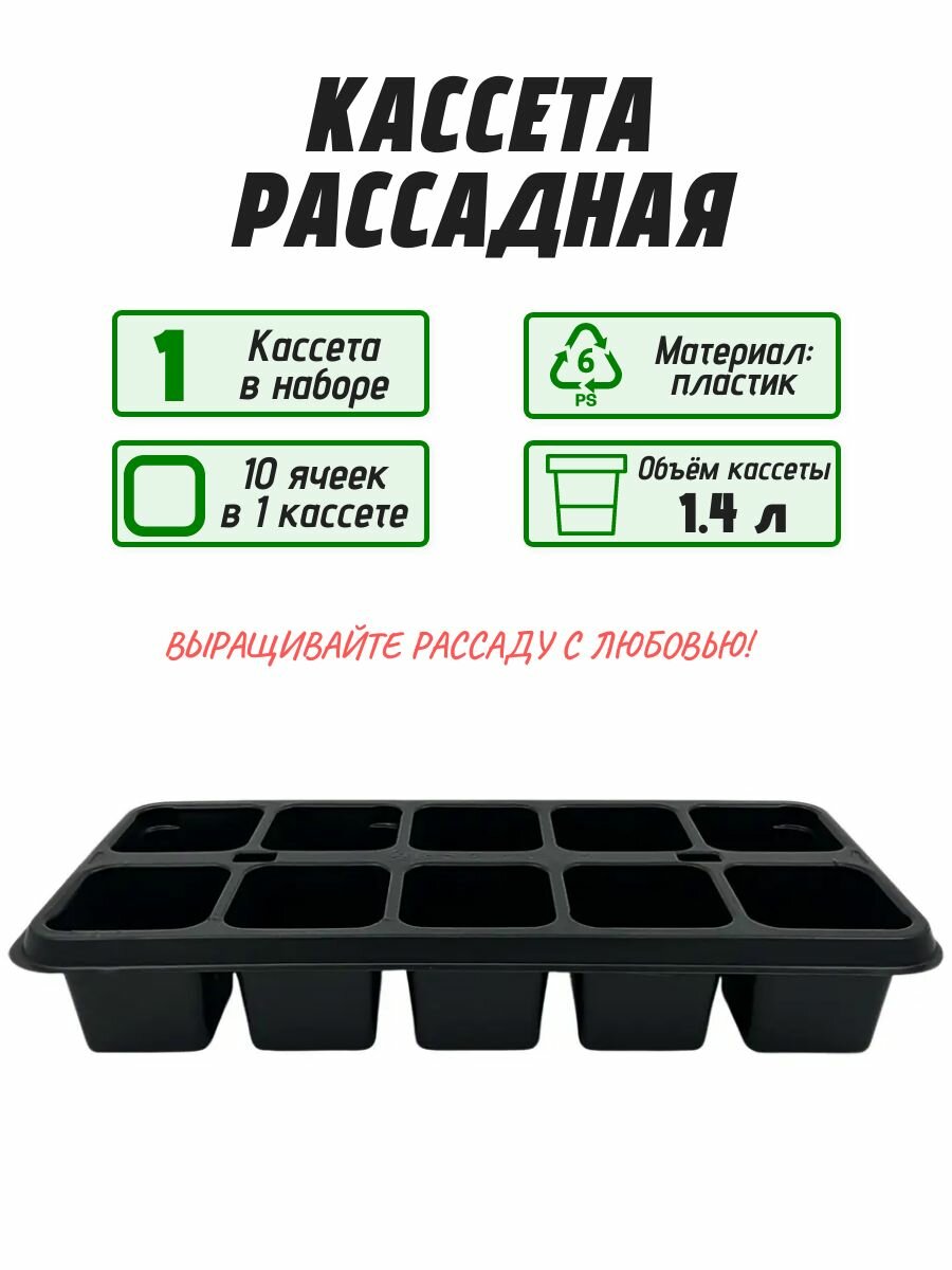 Кассета для рассады полистирол 10 ячеек 1 штука: помогает организовать пространство на подоконнике или в теплице обеспечивает аккуратный и эффективный посев