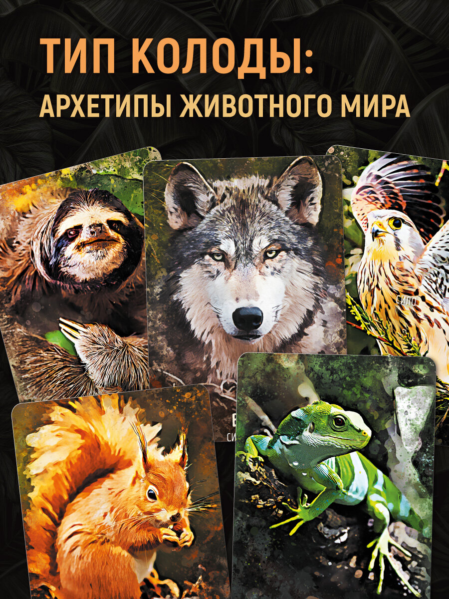 Животное силы. Метафорические карты Оракул, 100 карт, книга в комплекте — фото 1