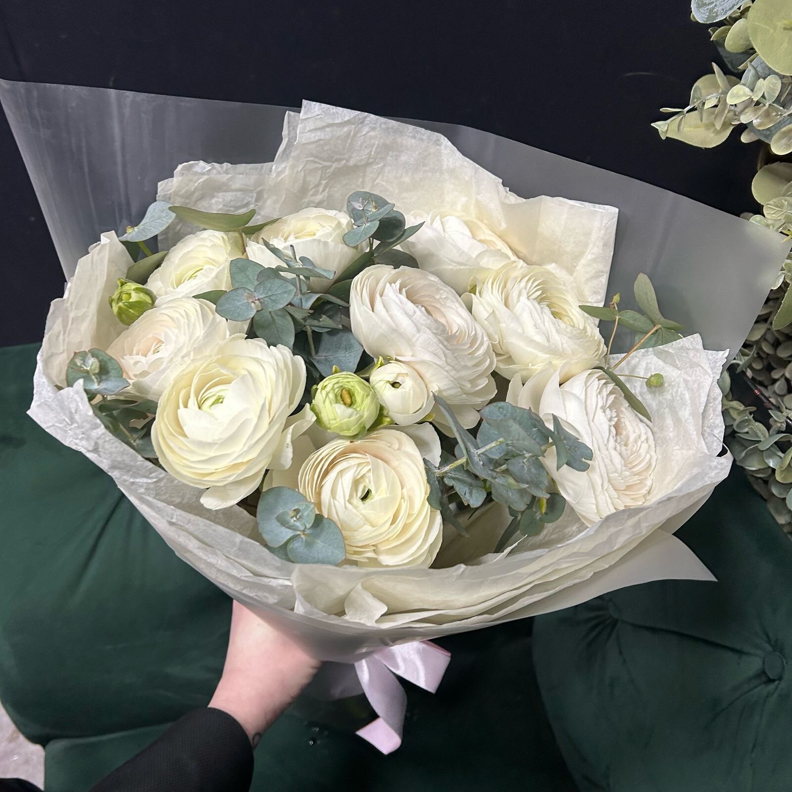 Монобукет из 9 ранункулюсов Ханой и веток эвкалипта в матовой пленке