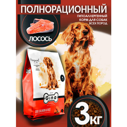 Корм для собак сухой для чувствительного пищеворения Gina Dog Salmon & Rice лосось, рис, 3 кг