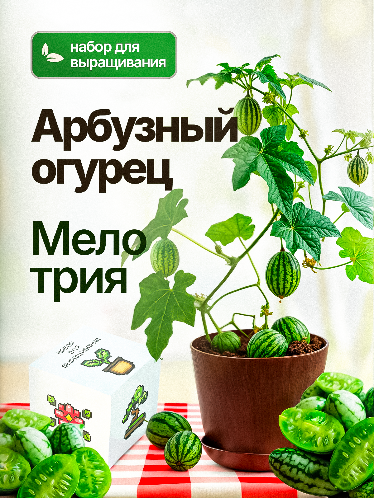 Набор для выращивания растений Арбузный огурец Мелотрия