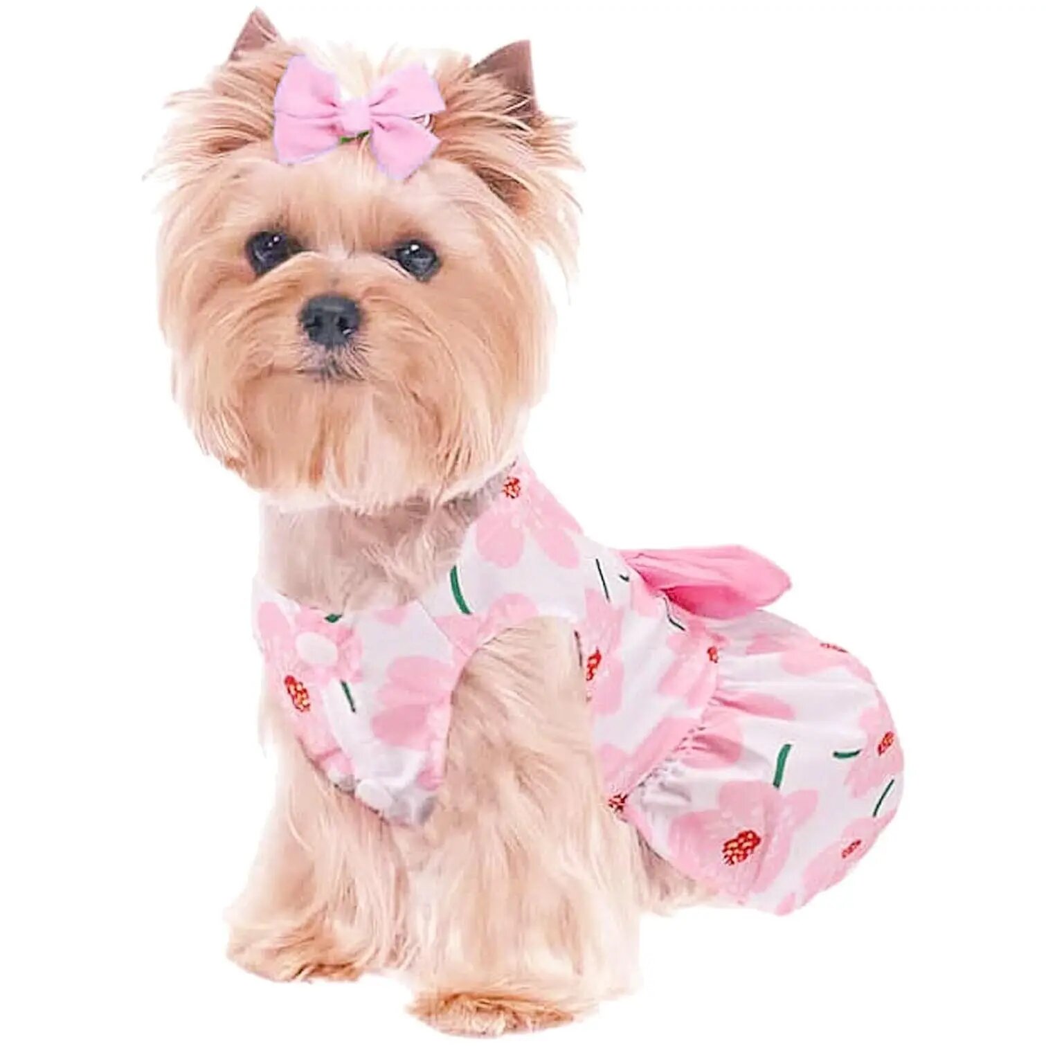 Платье для собак мелких пород «Бонита на прогулке» розовые ромашки размер ХL