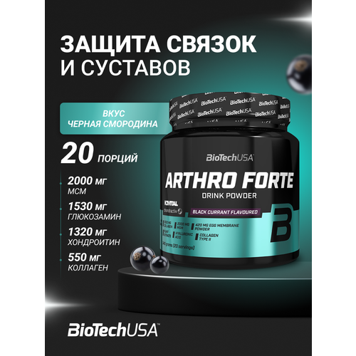 BioTechUSA Arthro Forte 340 гр, чёрная смородина