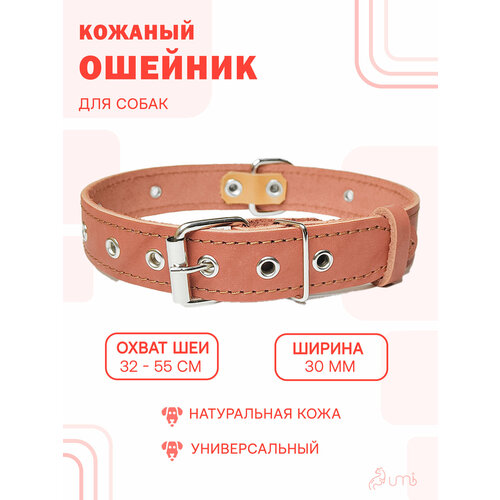 Кожаный ошейник (обхват шеи 32-55 см) для крупной собаки