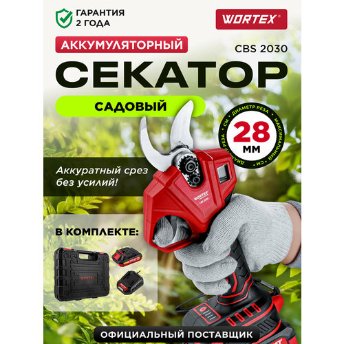 WORTEX CBS 2030 ALL1 SET с кейсом и зарядным устройством 1329798, для обрезки деревьев