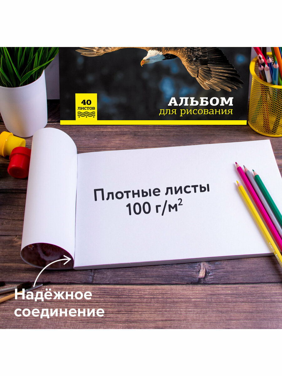 Альбом для рисования для детей в школу / детский сад А4 40 листов, Комплект 4 штуки, скоба, обложка картон, Brauberg, 200х283 мм, Дикие, 880039 — фото 1