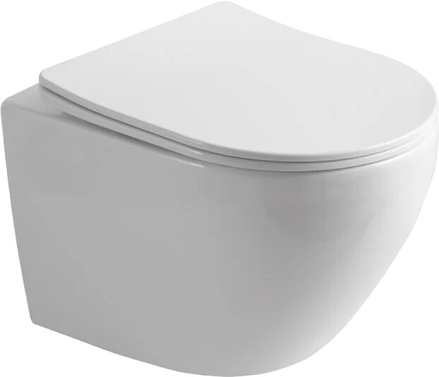 Унитаз подвесной WesnaArt Nova 204-NOV03 с микролифтом безободковый без бачка фарфоровый антивсплеск белый овальный