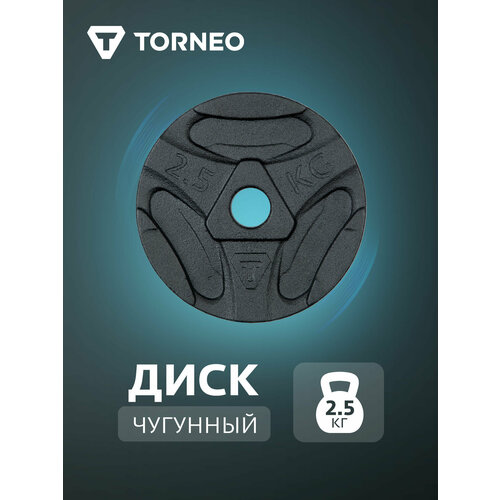 Диск 2.5 кг чугунный Torneo Черный; RUS: Б/р, Ориг: one size
