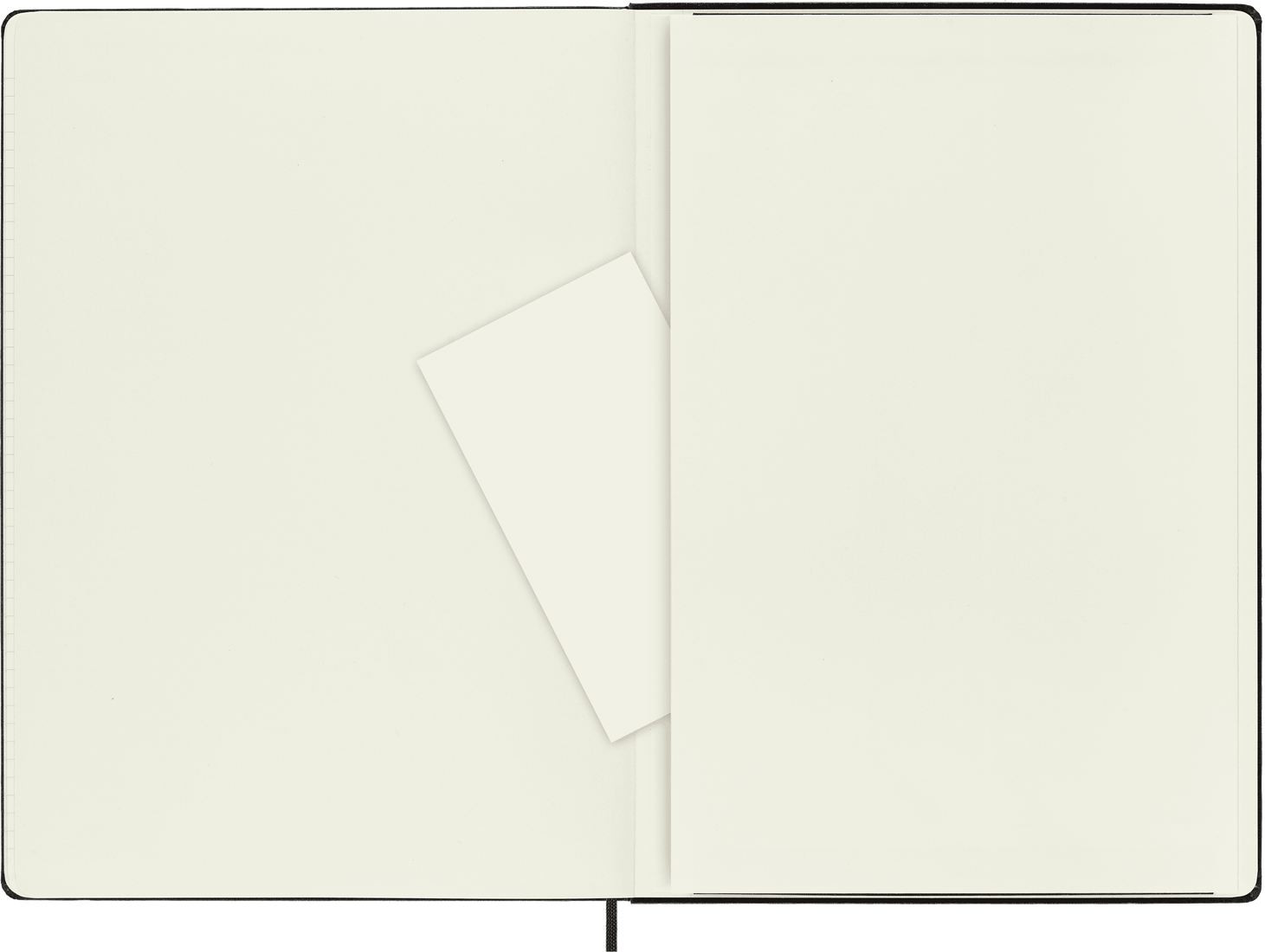 Блокнот Moleskine Classic QP110 A4 210х300мм, 192 стр, твердая обложка, черный — фото 1