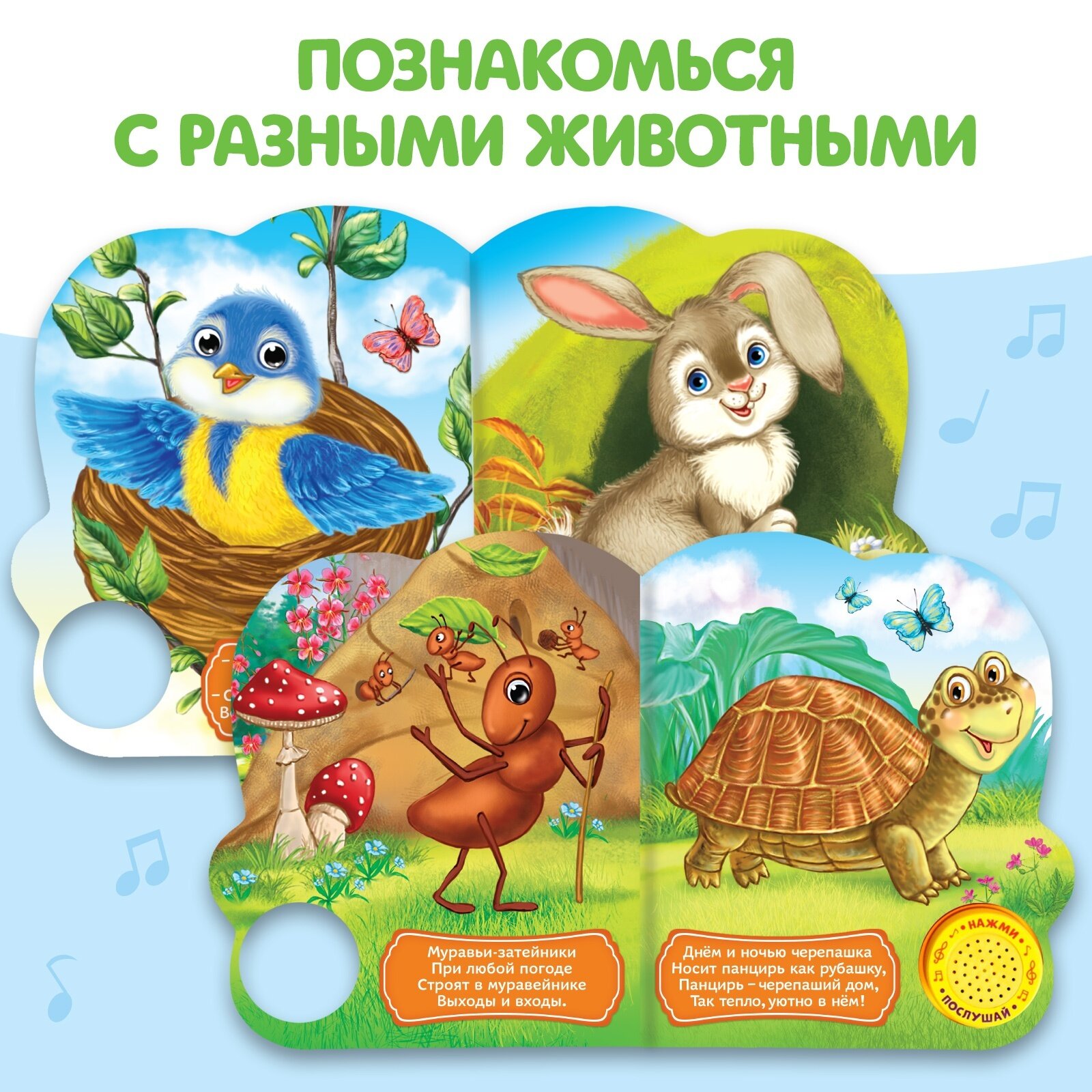 Музыкальная книга БУКВА-ЛЕНД «Кто где живёт», 14,4 х 17 см, 10 страниц — фото 1
