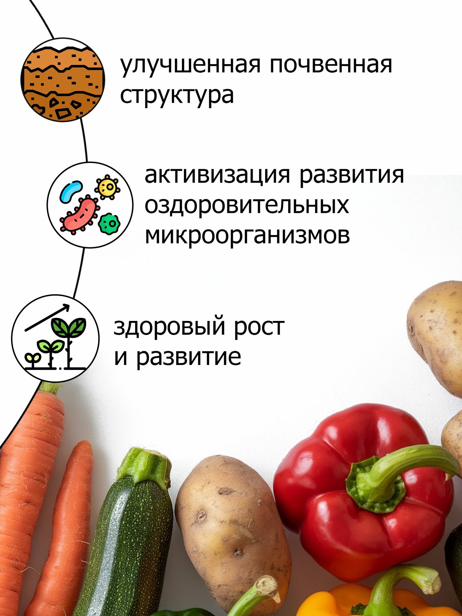 Средство защиты растений Деготь сапропелевый Пуршат. Органический инсектицид для защиты от грибка и вредителей (Purshat) 1000 мл — фото 1