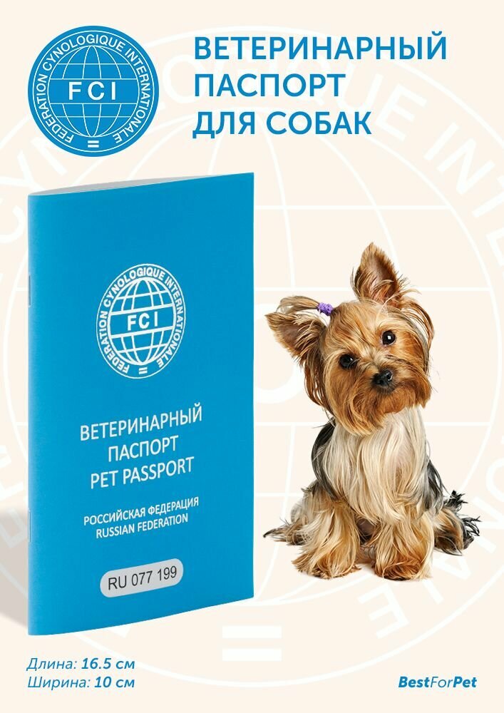 Международный ветеринарный паспорт FCI