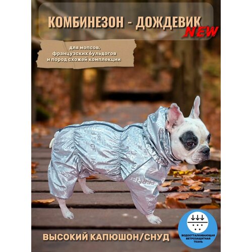 Комбинезон-дождевик 3D с высоким воротом/снуд для собак: французских бульдогов, мопсов, серебро, ФР-2