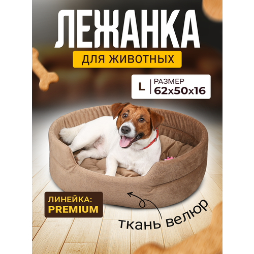 Лежак для Собак и Кошек Средних, Велюр