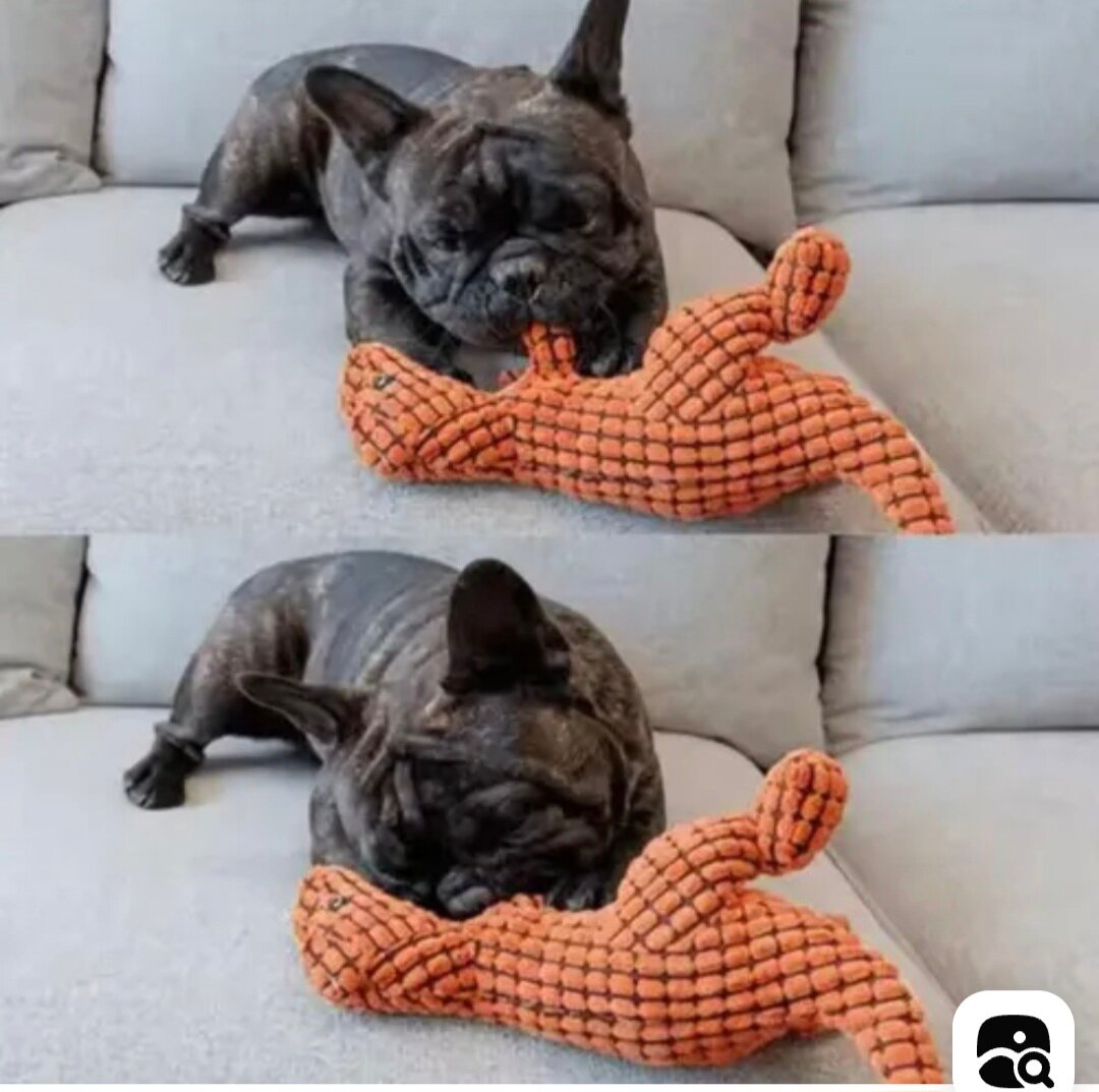 Игрушка для собак Динозаврик с пищалкой для щенков и мелких собак оранжевый