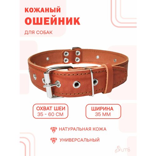 Кожаный ошейник (обхват шеи 35-60 см) для средней и крупной собаки / кожа - фетр