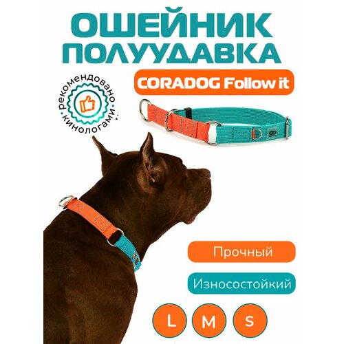 Ошейник-полуудавка, мартингейл, CORADOG Follow it, для маленьких и средних собак, бирюзовый оранжевый, размер S 27-38 см, ширина 2см