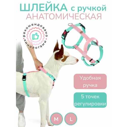 Шлейка с ручкой прогулочная анатомическая для средних и крупных пород собак, CORADOG Quick click, размер L, цвет розовый, мятный