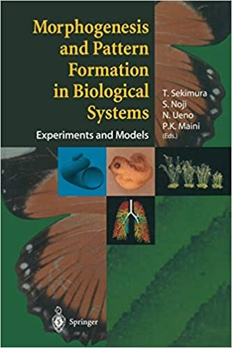 Morphogenesis and Pattern Formation in Biological Systems: Experiments and Models 9784431