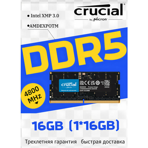 Crucial Оперативная память ноутбука DDR5-4800 1X16GB SODIMM RAM 4972800₽