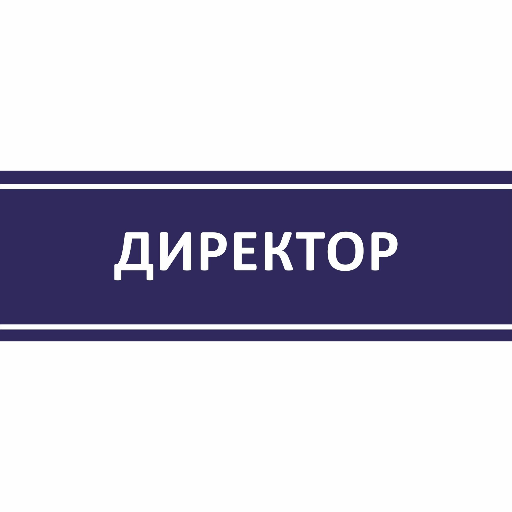 Табличка на дверь "Директор", ПВХ, интерьерная пластиковая табличка