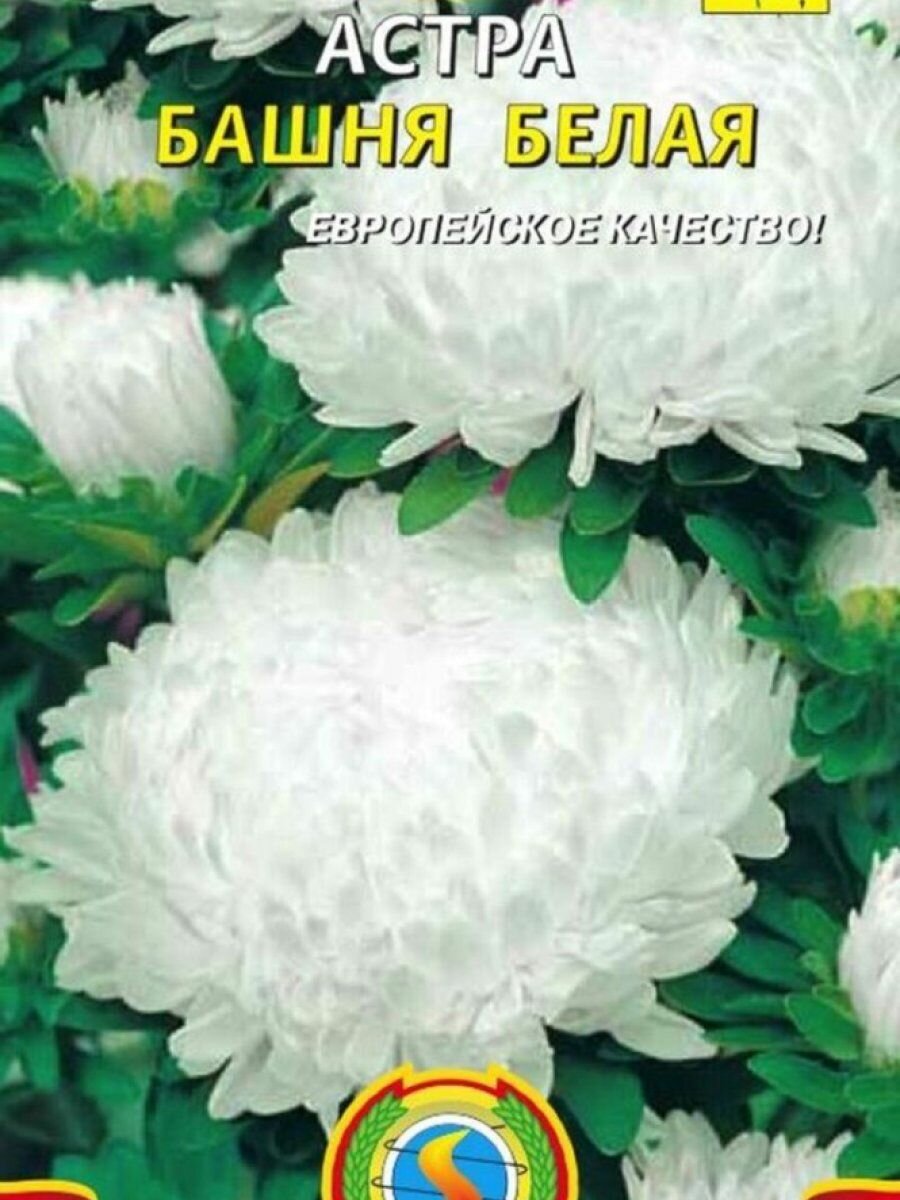 Семена Астра Башня Белая 03 гр Плазменные семена