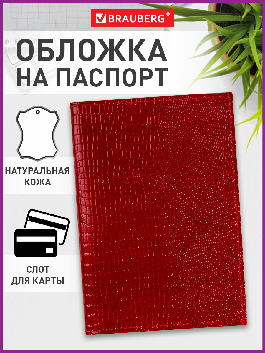 Обложка для паспорта BRAUBERG
