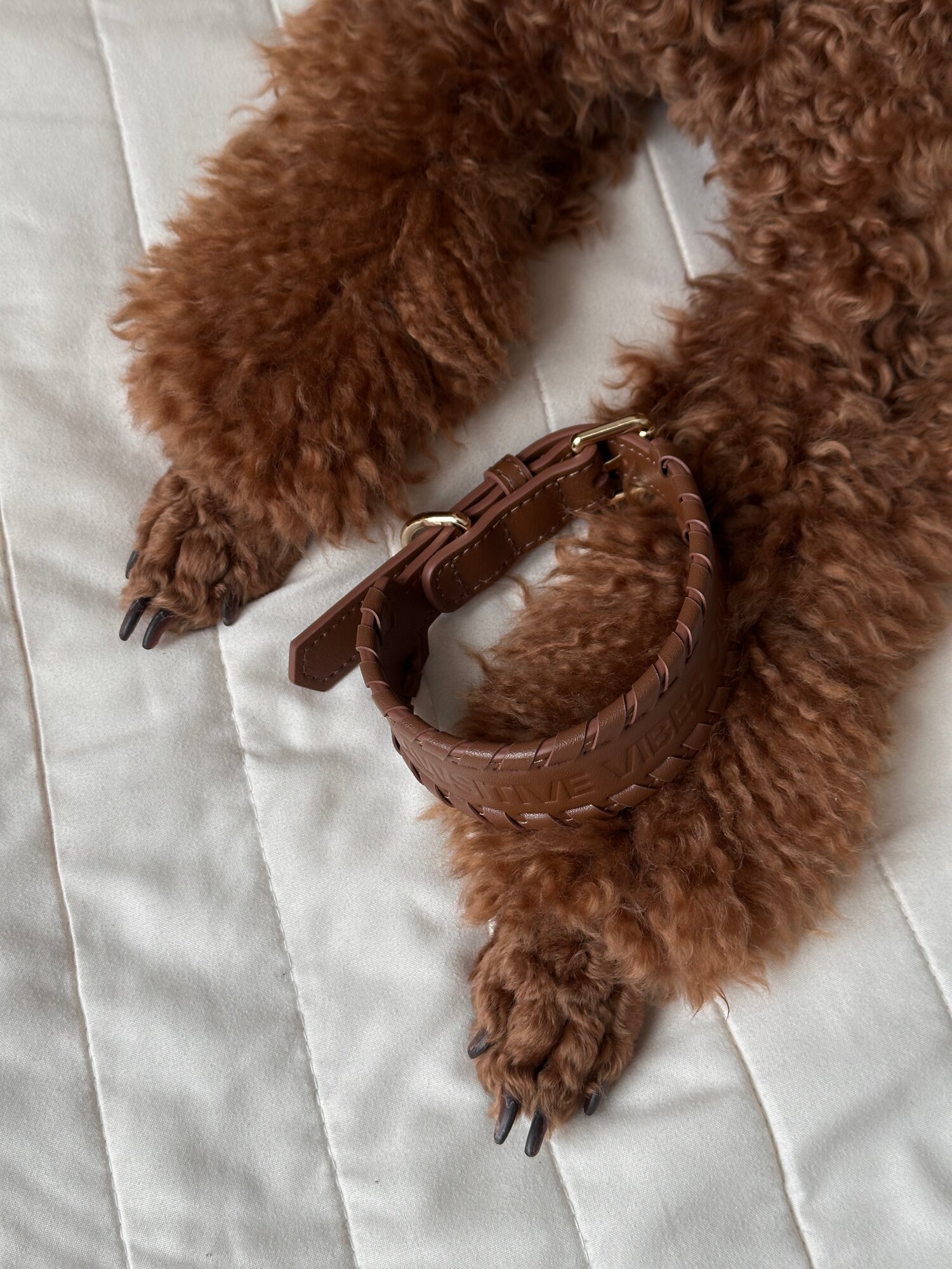 Ошейник POVOD Brown, натуральная кожа, для собак, прогулочный, цвет коричневый, размер S-M