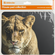 Коврик для мыши Defender Wild Animals (ассорти-8 видов) 220x180x2...