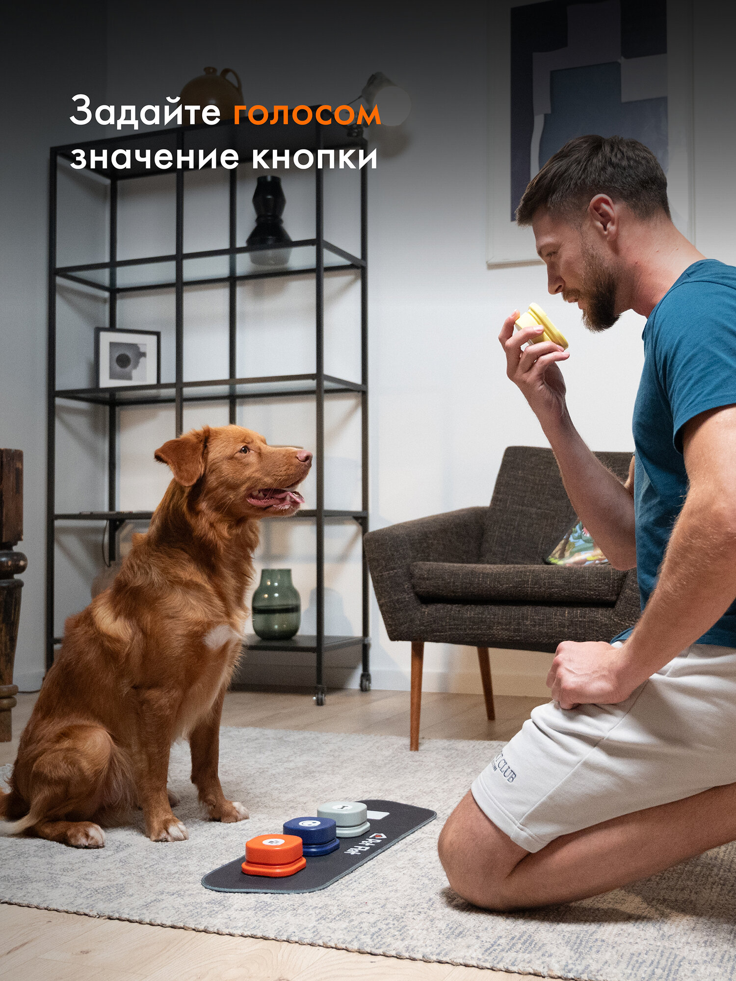 Картинки Интерактивная панель для собак Magic Tap звуковые кнопки Pet Flat