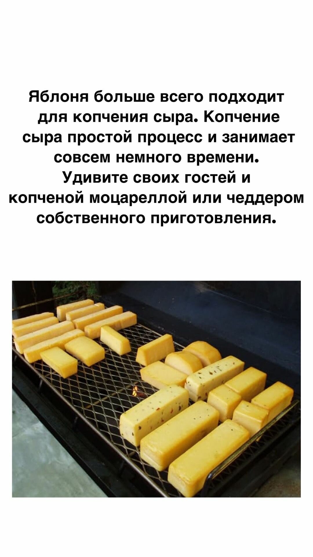 Изображение Щепа для копчения , для мяса, рыбы и овощей, Яблоня, 2,5 кг, 5 шт