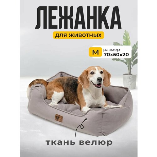 Лежанка для Кошек и Собак Большая с Бортиками и Подушкой