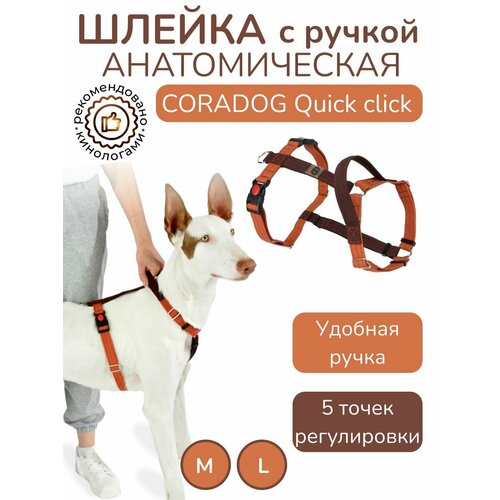 Шлейка с ручкой прогулочная анатомическая для средних и крупных пород собак, CORADOG Quick click, размер L, цвет терракотовый, коричневый