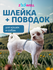 Светоотражающая шлейка с поводком ZooWell для кошек универсальная...