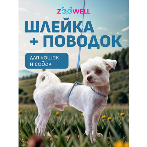 Светоотражающая шлейка с поводком ZooWell для кошек универсальная, шлейка для кошек