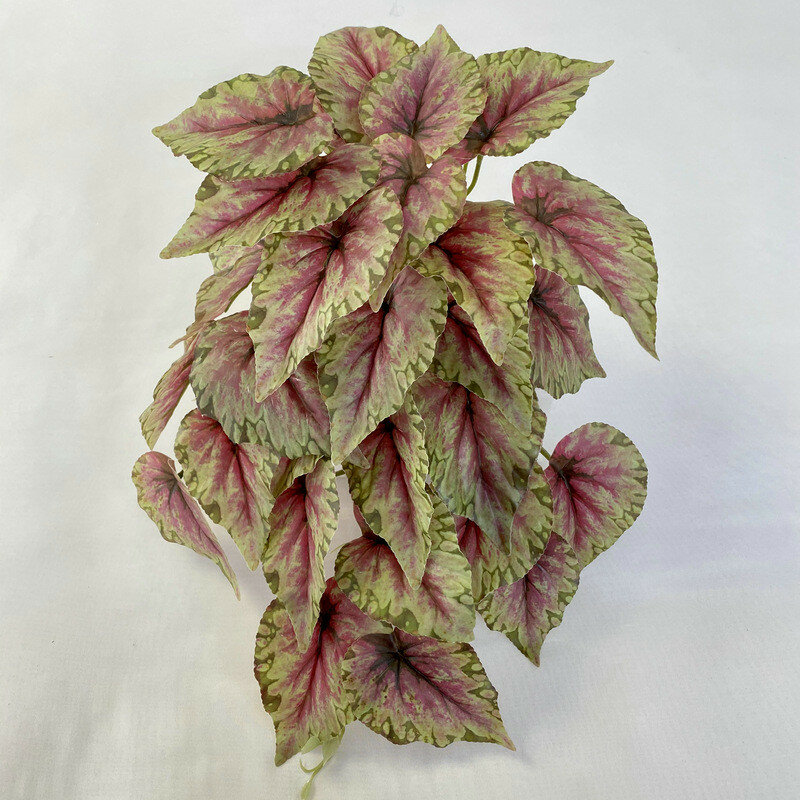 Декорация для стен 3d printed artificial begonia wall decor  красный